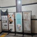 쉬었다가개 | [w⑨] 행복한 고민의 연속, 비마이스튜디오 셀렉 후기