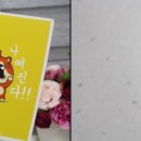 라임데코