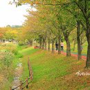 화랑유원지(중심광장) 이미지