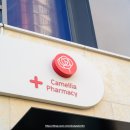 동백꽃약국 이미지