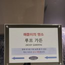 [강릉 호텔 추천] 탑스텐호텔 강릉 근처맛집, 루프가든 일출도전, 포세이돈 조식 후기 (2편)