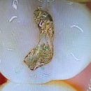 용현서울치과의원 이미지