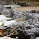 섬바위농장 이미지