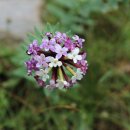 산정만리 49 해자구(海子溝)의 보름달 정격 단시조/반산 한상철 이미지