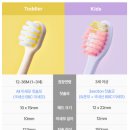 글로벌수어린이집 | 유아 베이비 어린이집 유치원 칫솔 추천 &lt;더트엘브&gt; 내돈내산 찐후기