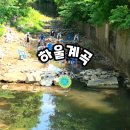갈월슈퍼 | 취사 가능한 용인 계곡 추천 1인 1만원대 평상대여 < 묵리 하울계곡 평상대여>
