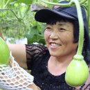 금암1리 이미지