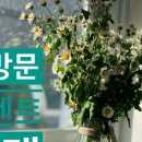 민서현헤어