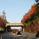 두류공원 이미지