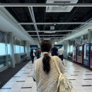 호주 신혼여행/브리즈번-1] 웨스트 엔드 마켓 찍먹, 무게라 호수 투어 후기, 브리즈번 신전 떡볶이 추천 ㅎ