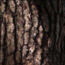 마고헤어 이미지