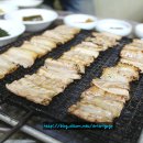 짚불집 이미지