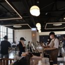 도기온 (doggyon) 이미지