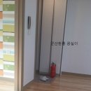 나운마트