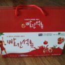 손진국 이미지