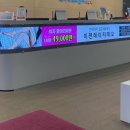 돈주는여자 | [강남 레이저제모] 1인 대기실에 면도부터 다 해주는 여자 브라질리언 제모 받은 후기