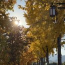 재매정길 이미지