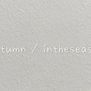 인더시즌(Intheseason) 네이버블로그