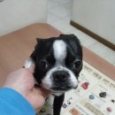 신월동232 이미지