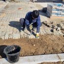 정예태양광 이미지