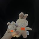 레브호텔제주 | [8月] 팔팔하게 보내려고 노력한 팔월이에요