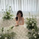 서수진헤어연출 | w. 11 로즈앤모어 플라워디렉팅 후기 (feat. 더앤드유)