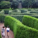 메이즈랜드 이미지