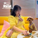 더 리얼 서울 이미지