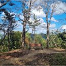 대박백숙 | 오산백숙 맛집 완전 대박 후기와 보양식 맛집 미친 탐방기 9월 18일