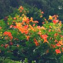 공원로352번길 이미지