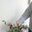제이스블루메 이미지