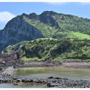 푸른 제주 이미지