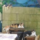 재덕한의원 이미지