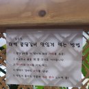 태백솥뚜껑물닭갈비 이미지