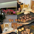 한우명가 - 광양시 | 애견동반 가능 일산 가로수길 삼겹살 한우명가 방문 후기