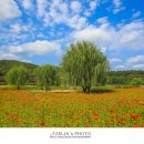 금호강2 이미지