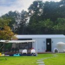 양평애견호텔 이미지