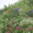 행복연장전 이미지