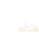 드래곤스트라이크 이미지