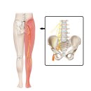 나이스한의원 이미지