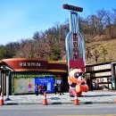(주)레인보우여행사