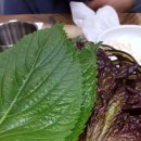 만나정생고기