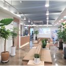 코뿔소 마취통증의학과 의원 이미지