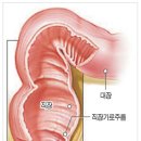 대항병원 이미지