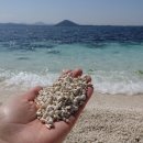 우도농장 이미지