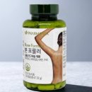 주식회사 뉴포뮬러