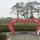 금강수변공원(보람동) 뉴스1