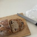 비어뱅크 | [여자 혼자 호주여행] #8 브리즈번 스트리트 비치 후기｜사우스뱅크 인공해변과 시티홀 크리스마스 분위기