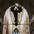 물레방아정육점 | 비가 와도 울름