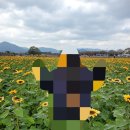 태종로 | 경주 당일 여행기: 걷다 보니 2만보, 황남빵(경주빵) 후기와 여행 팁 몇 가지